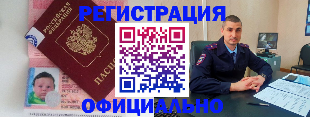 прописка поиск в Шумихе